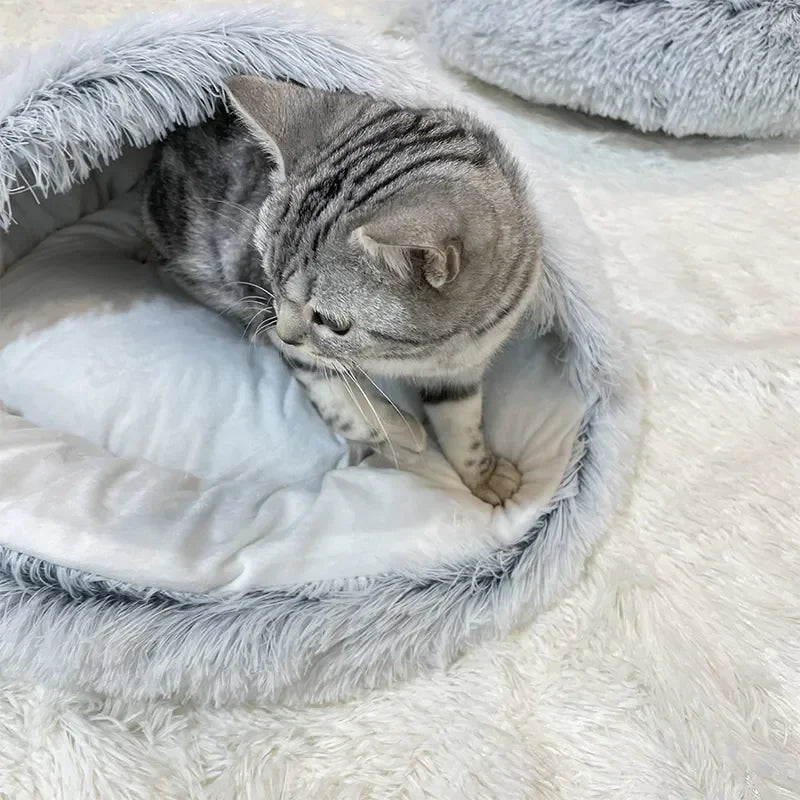 Cozy 2-in-1 Cat Bed