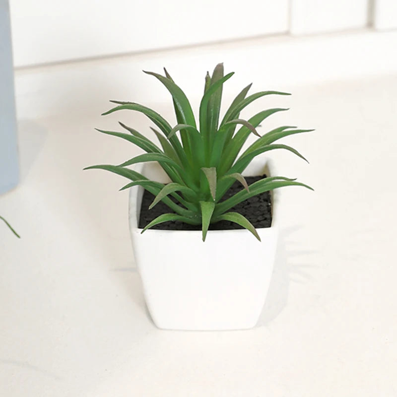 Simulierte Sukkulenten-Topfpflanzen für die Heimdekoration