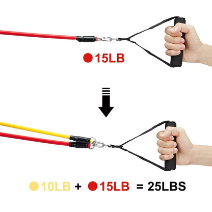 Ensemble de 11 bandes de résistance en TPE avec ancrage de porte - Poignées et sangles de cheville