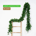 80leaves-C