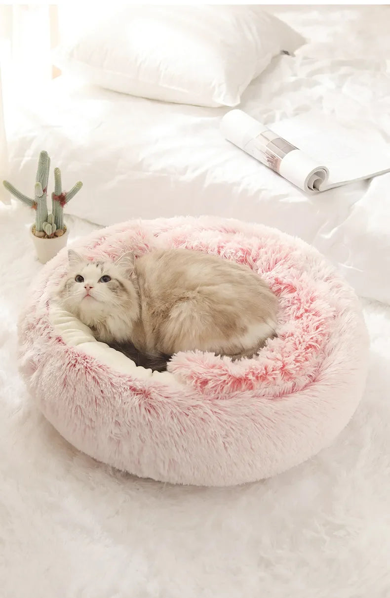 Cozy 2-in-1 Cat Bed