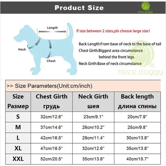 Ensemble pyjama de luxe pour animaux de compagnie et serviettes super absorbantes