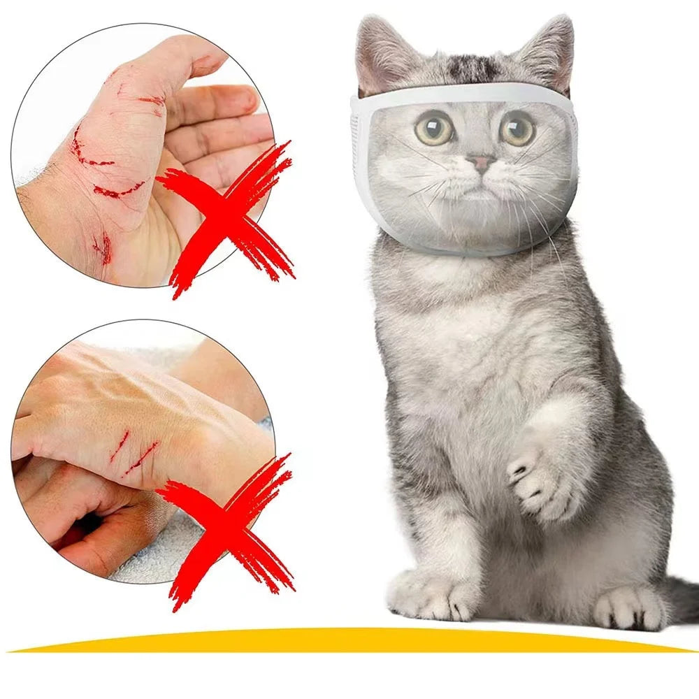 Transparentes Bade- und Nagelknipser-Zubehör für Katzen