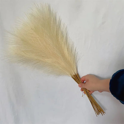 10PCS Fluffy Pampas Grass