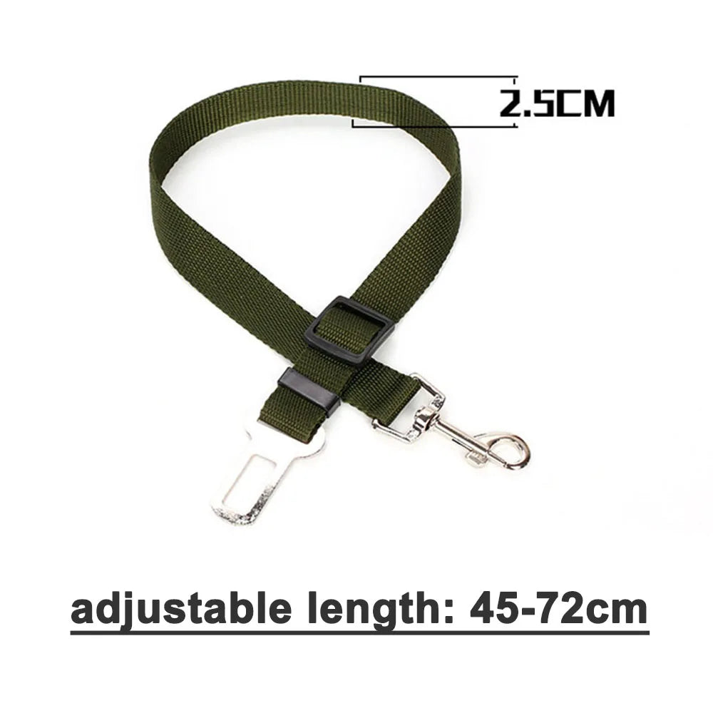 Reflective Dog Seat Belt & Leash Combo