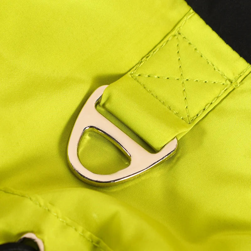 Dog Clothes for Winter