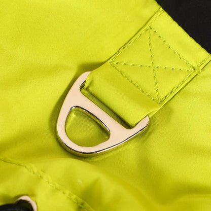 Dog Clothes for Winter