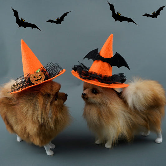 Spooky Pet Hat - Non-Woven Halloween Creativity